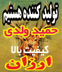 شاخ گوزنی