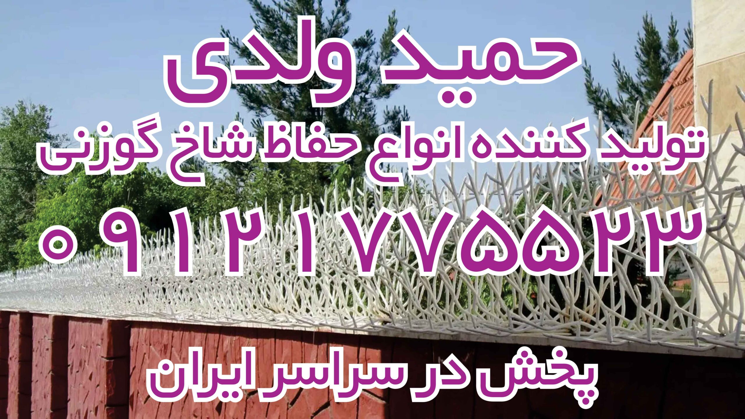 شاخ گوزنی